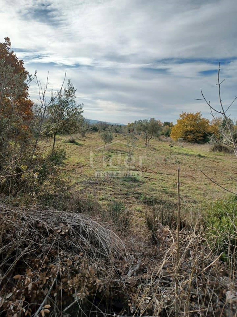 Terreno agricolo vicino a Fažana di 2400 m2