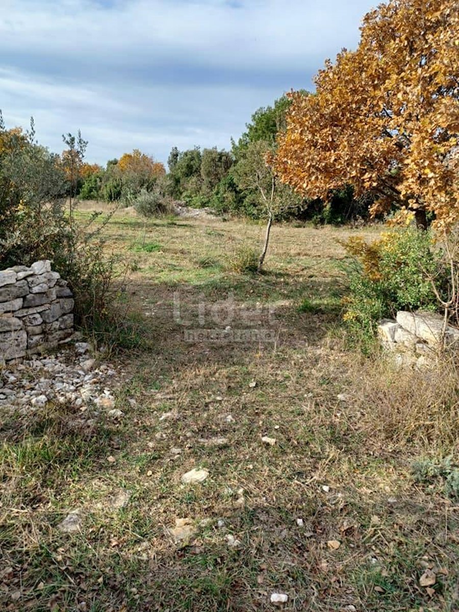 Terreno agricolo vicino a Fažana di 2400 m2