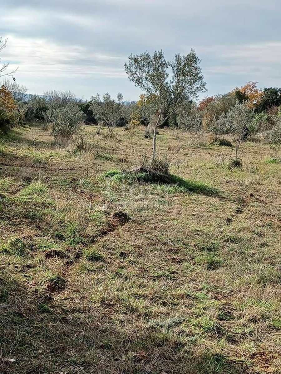 Terreno agricolo vicino a Fažana di 2400 m2