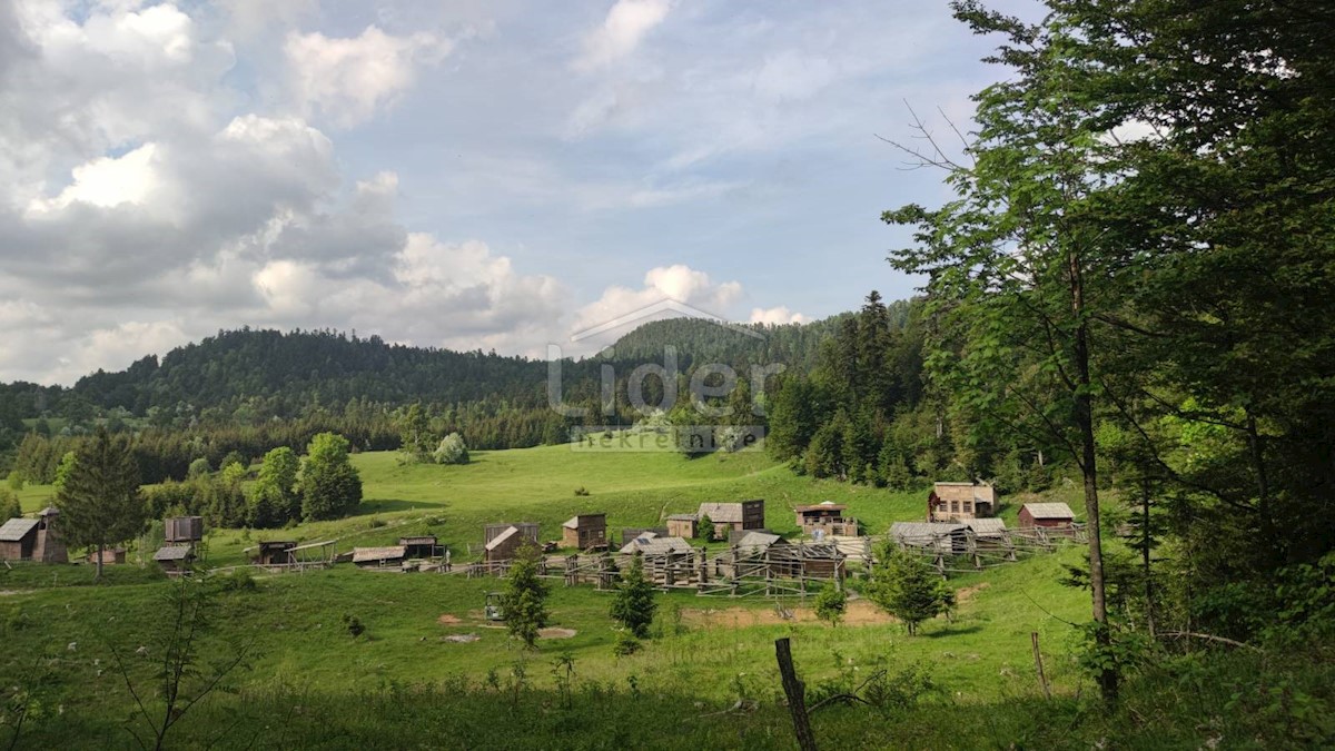 FUŽINE Terreno-bosco di 22.378 mq con accesso 