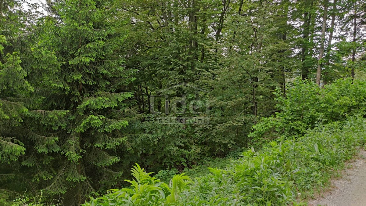 FUŽINE Terreno-bosco di 22.378 mq con accesso 