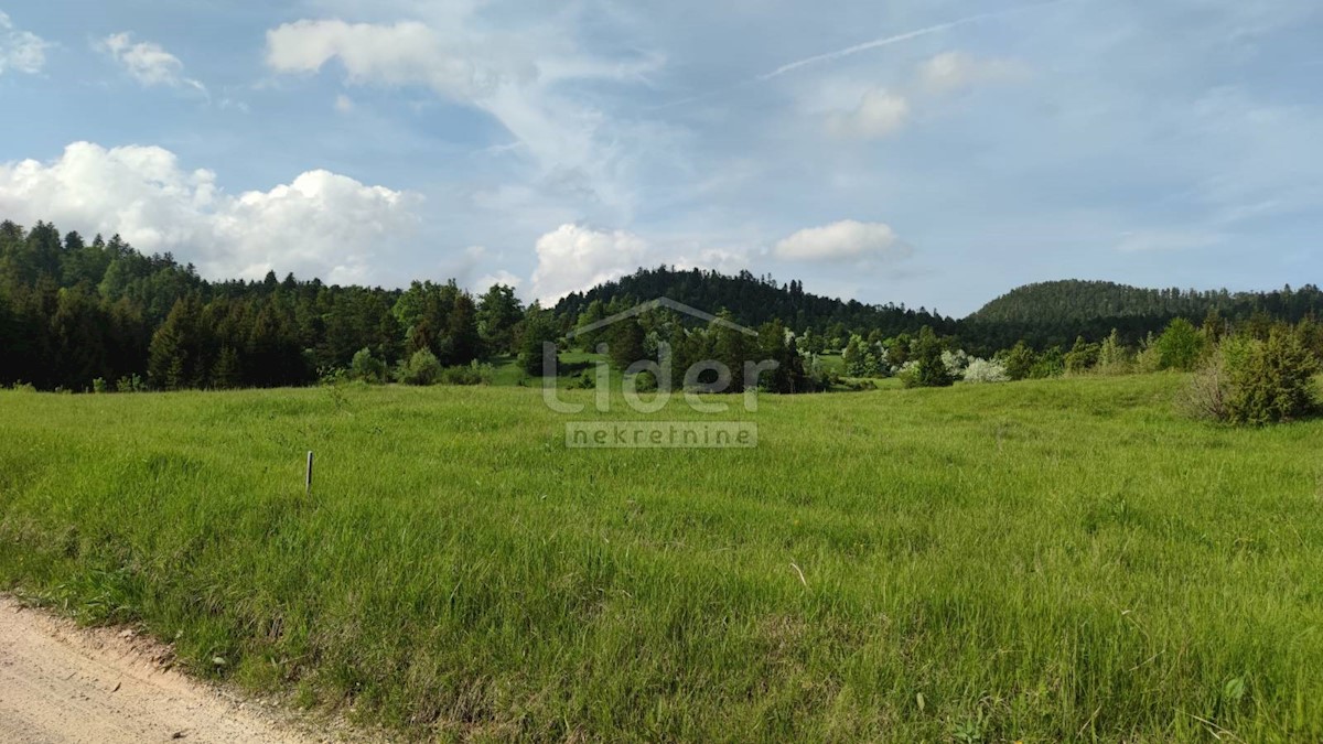 FUŽINE Terreno-bosco di 22.378 mq con accesso 