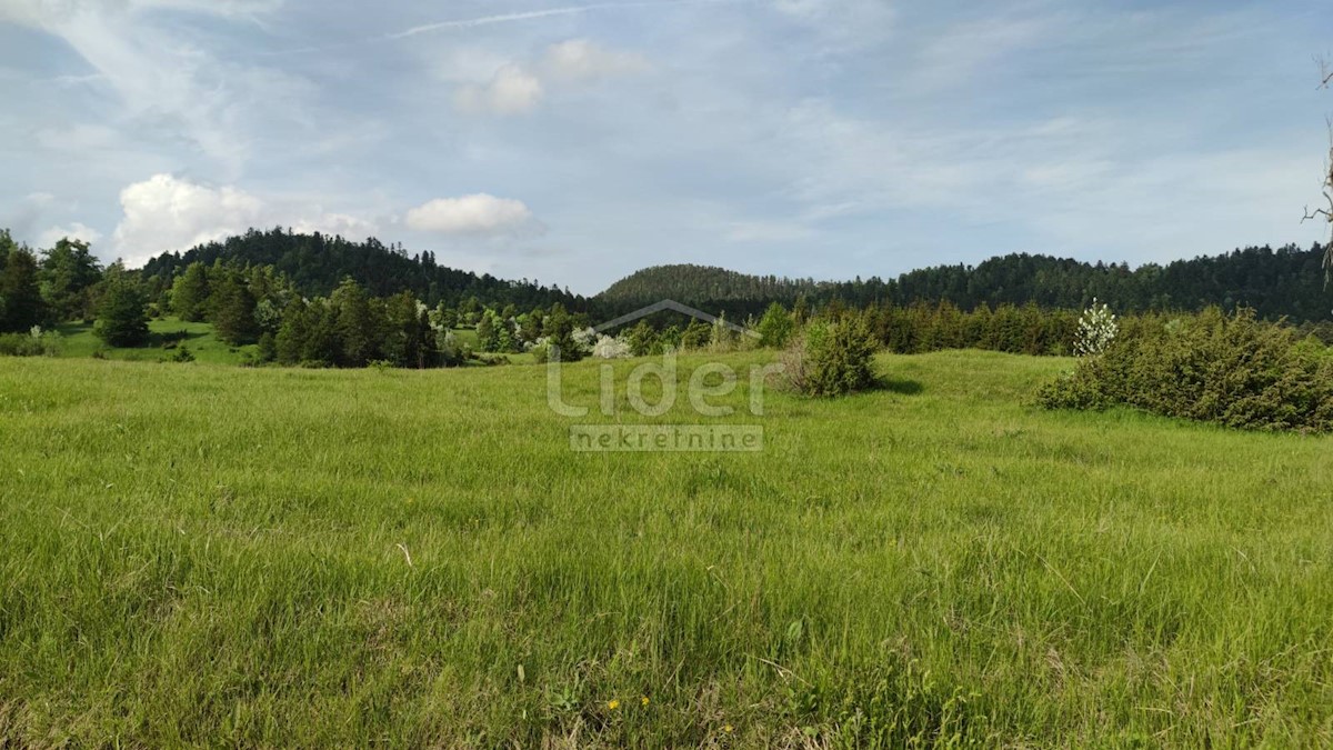 FUŽINE Terreno-bosco di 22.378 mq con accesso 