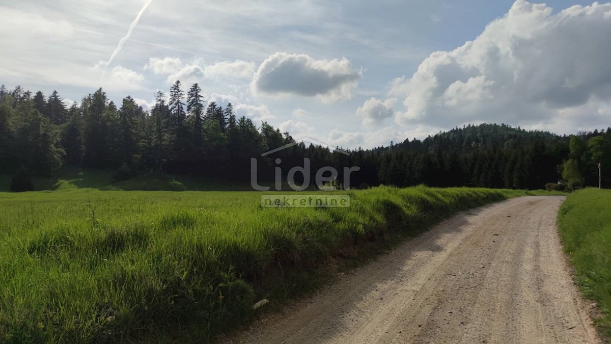 FUŽINE Terreno-bosco di 22.378 mq con accesso 