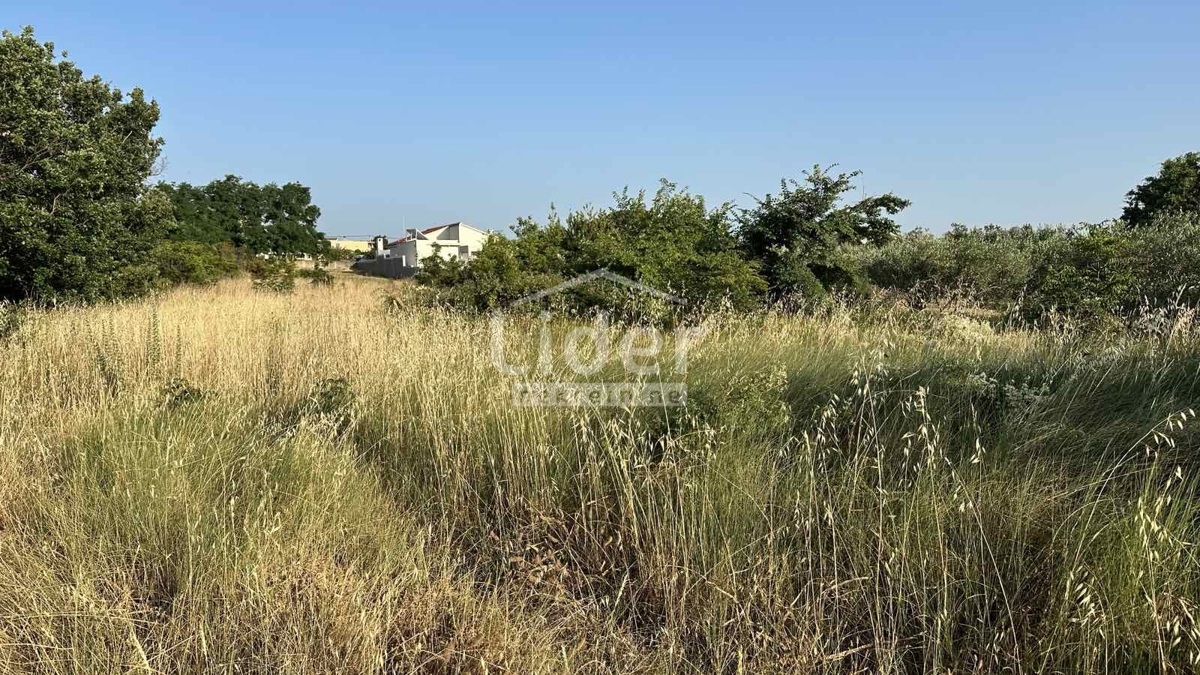 Terreno Vrsi, 2.280m2