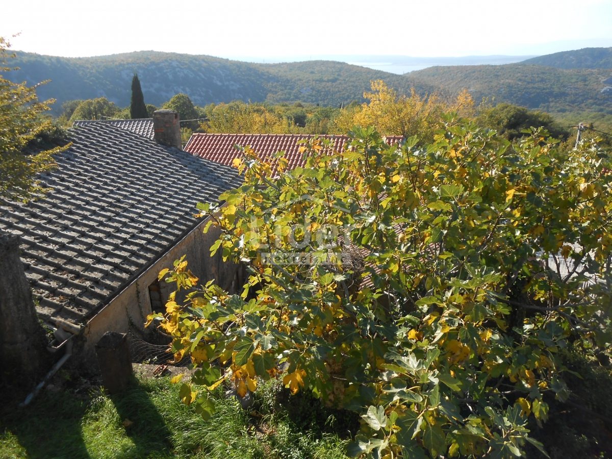 GRIŽANE 4 edifici da ristrutturare, ambiente tranquillo