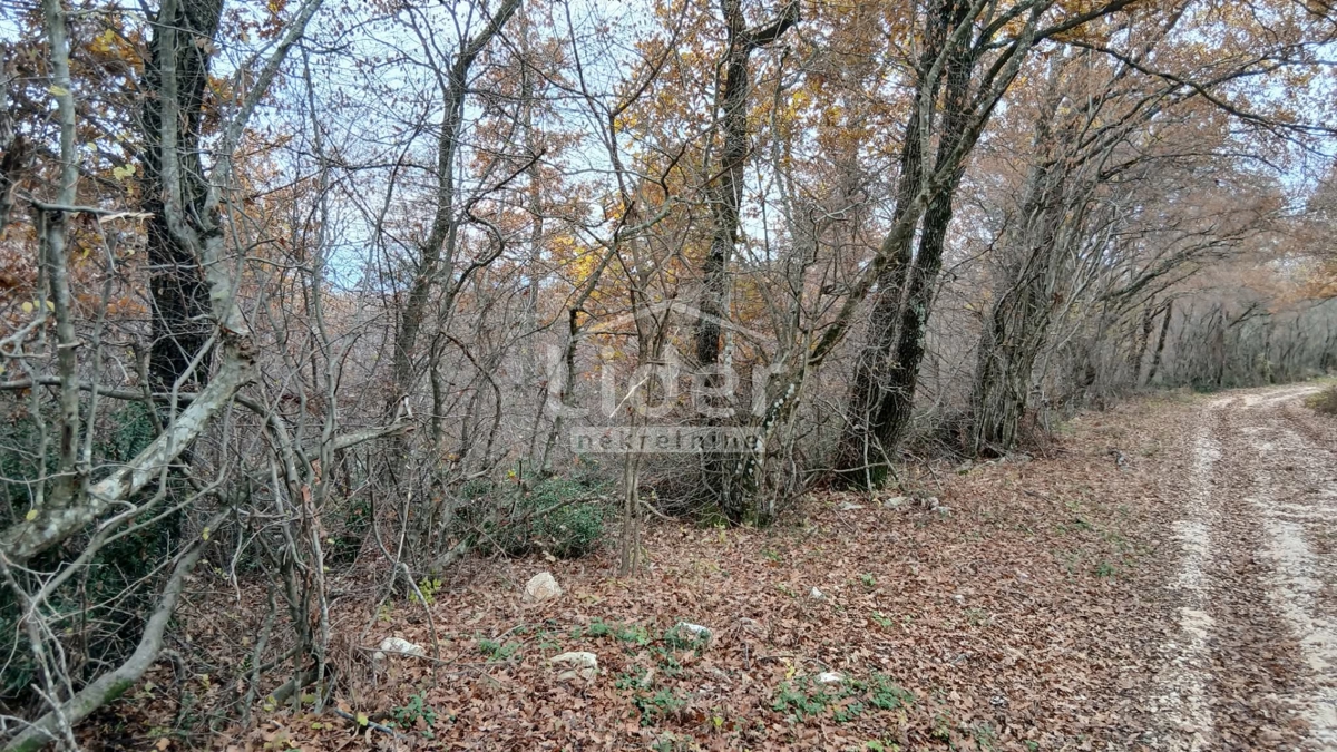 Casa Mrgani, Kanfanar, 250m2