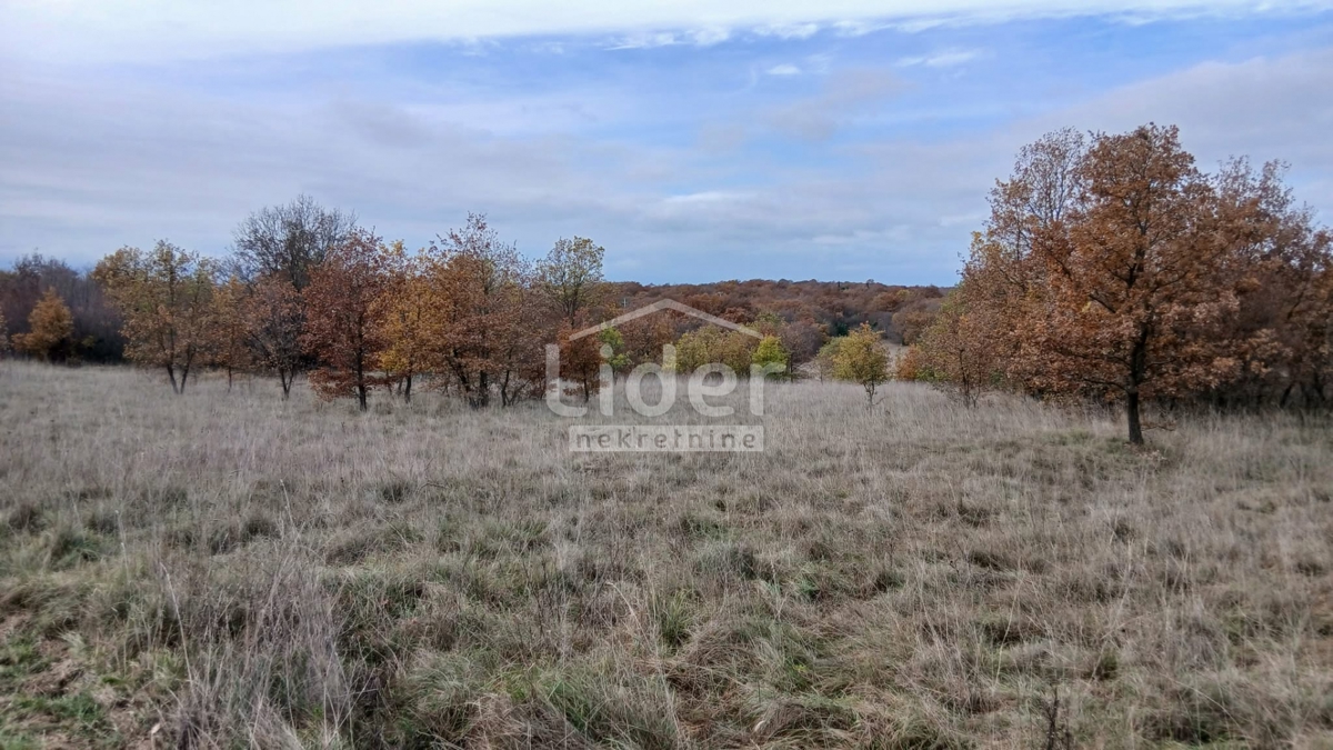 Casa Mrgani, Kanfanar, 250m2