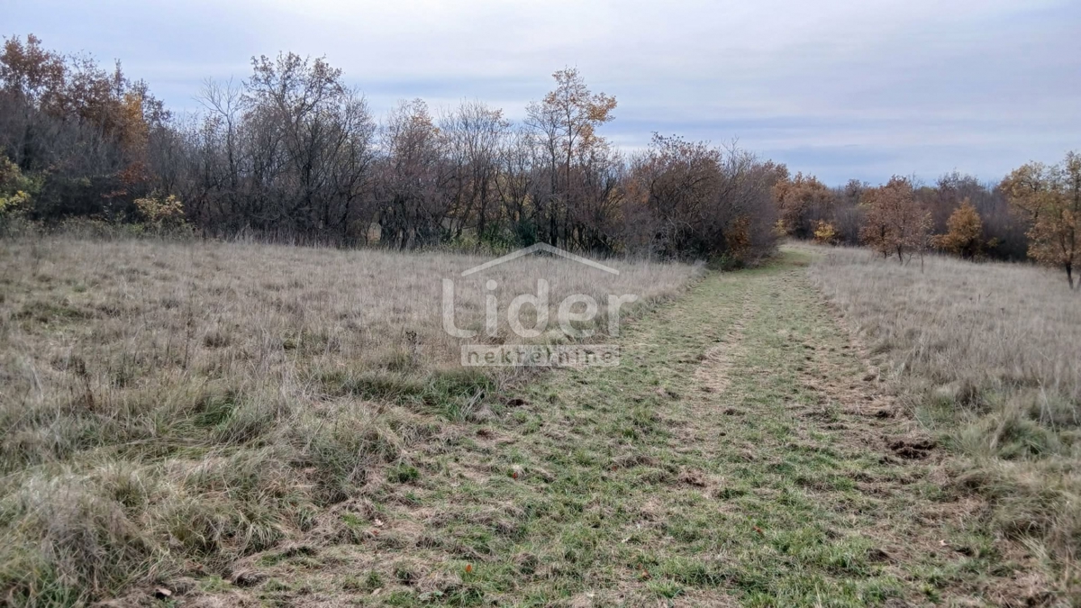 Casa Mrgani, Kanfanar, 250m2