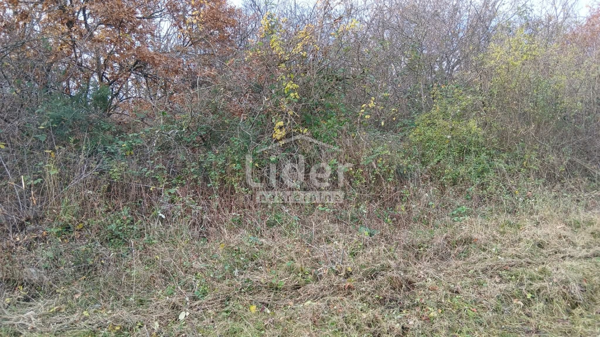 Casa Mrgani, Kanfanar, 250m2