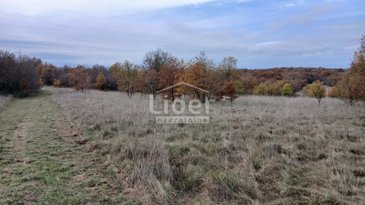 Casa Mrgani, Kanfanar, 250m2