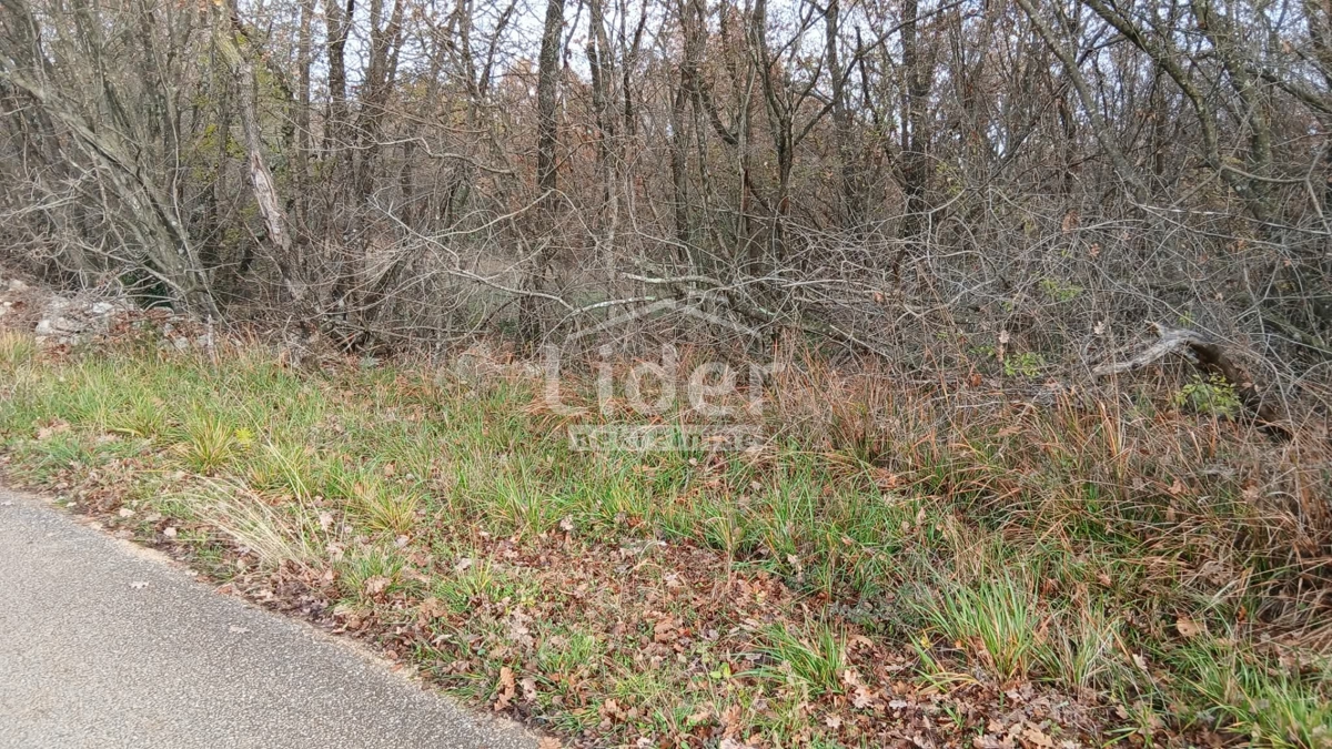 Casa Mrgani, Kanfanar, 250m2