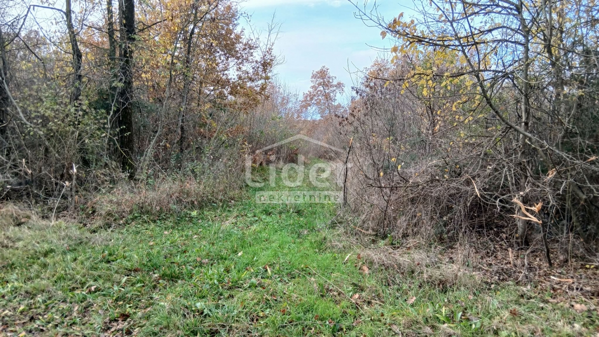 Casa Mrgani, Kanfanar, 250m2