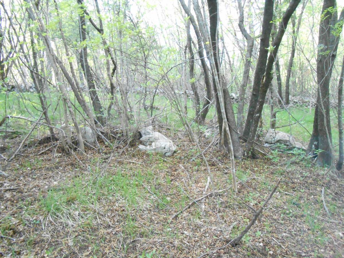 Terreno Gornja Drenova, Rijeka, 1.400m2