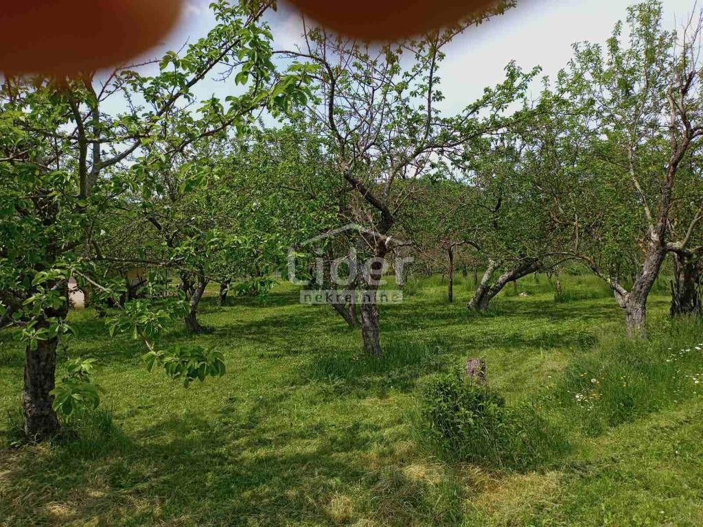 Casa Boljunsko Polje, Lupoglav, 100m2