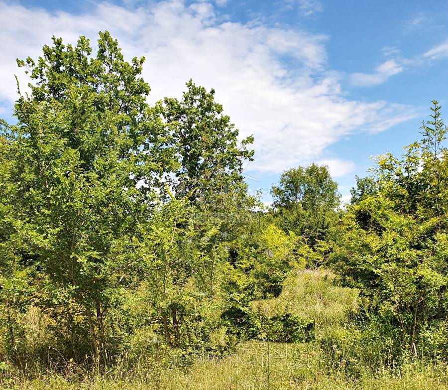 Terreno Jural, Kanfanar, 4.860m2