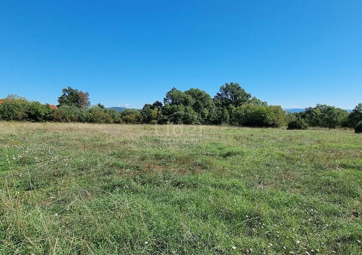 Terreno Peruški, Marčana, 6.000m2