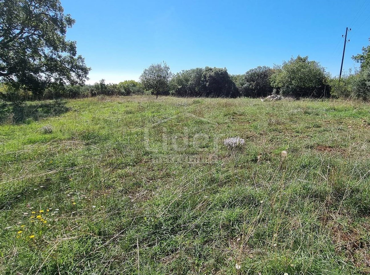 Terreno Peruški, Marčana, 6.000m2