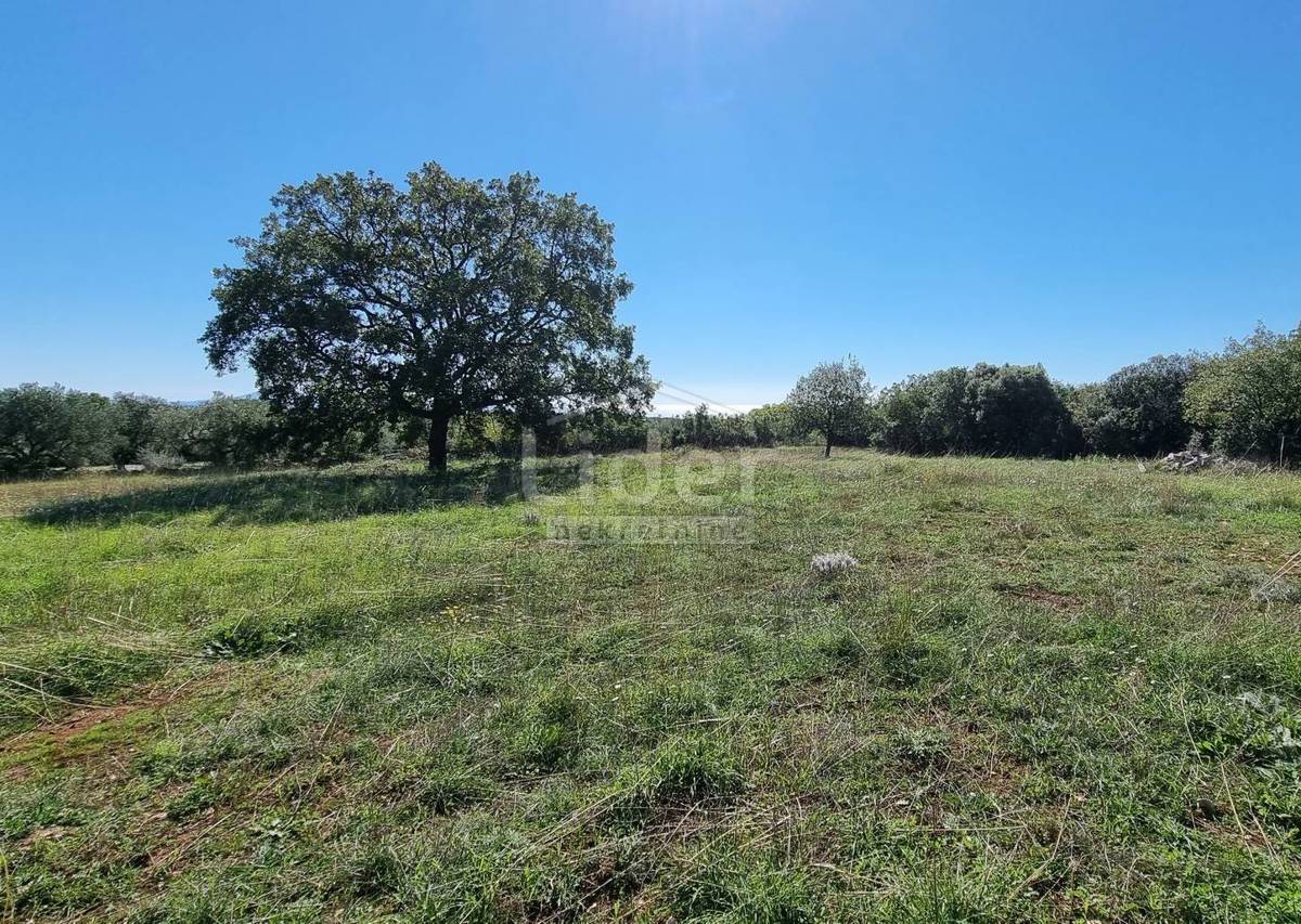 Terreno Peruški, Marčana, 6.000m2