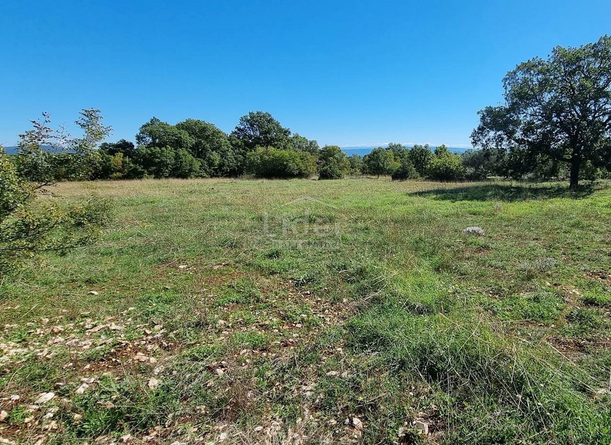 Terreno Peruški, Marčana, 6.000m2