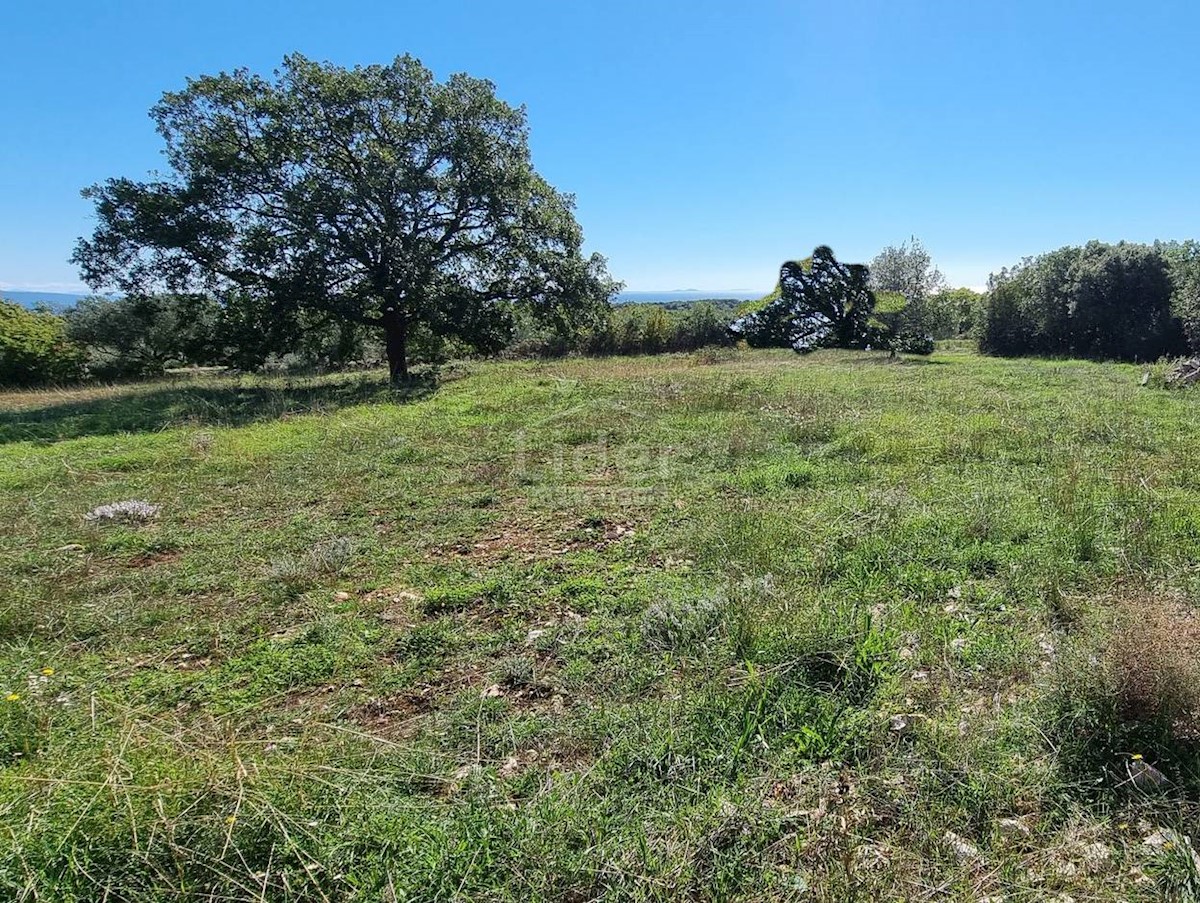 Terreno Peruški, Marčana, 6.000m2