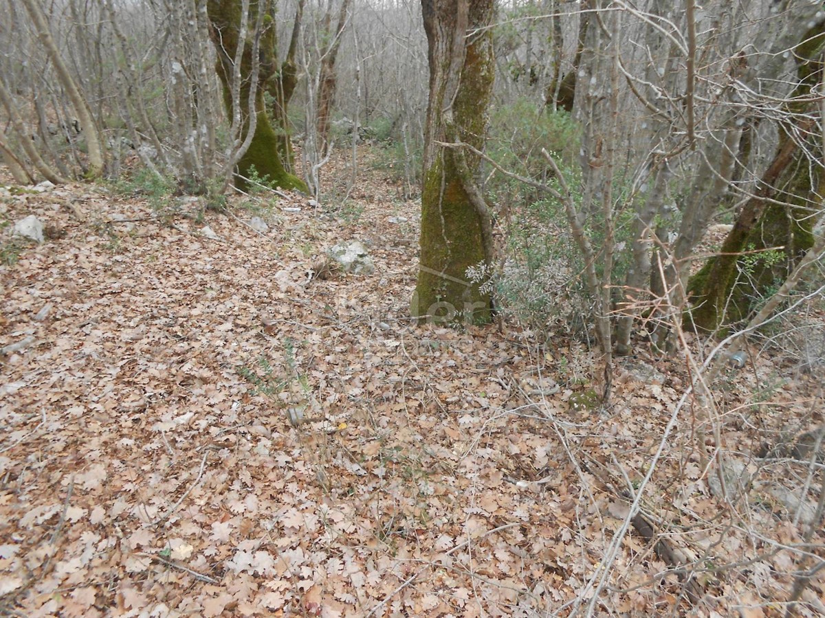 SUŽAN (ISOLA DI VEGLIA) Terreno agricolo, 2841 m2