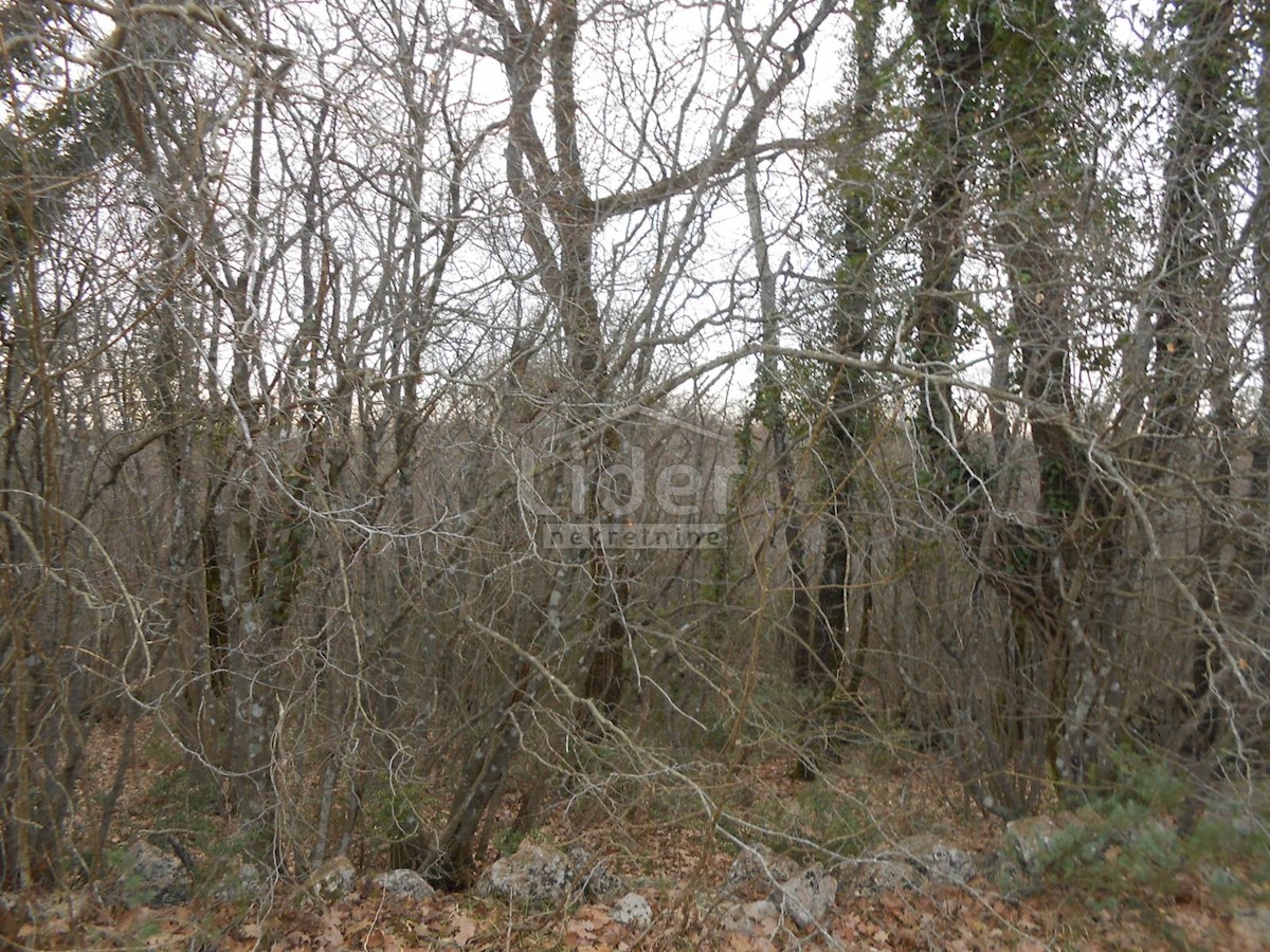 SUŽAN (ISOLA DI VEGLIA) Terreno agricolo, 2841 m2