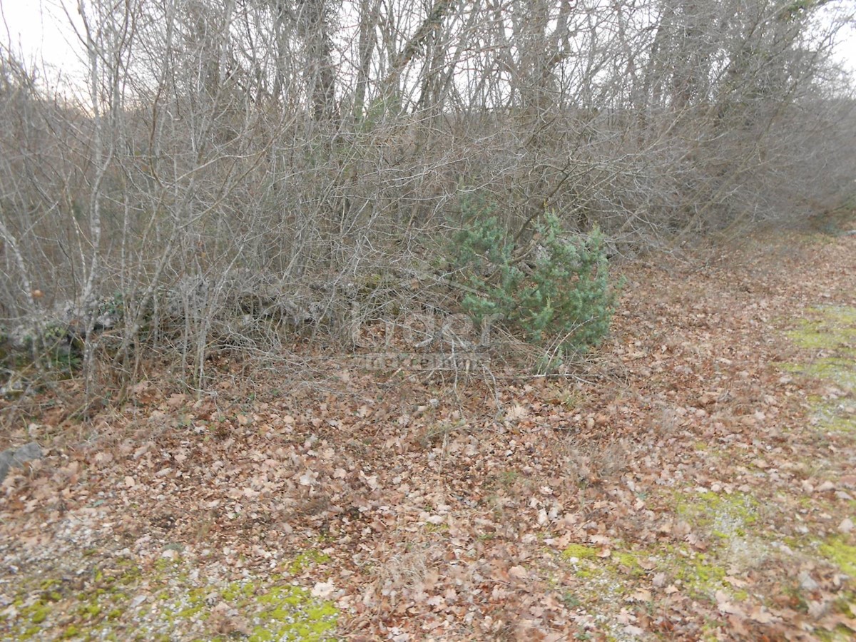 SUŽAN (ISOLA DI VEGLIA) Terreno agricolo, 2841 m2