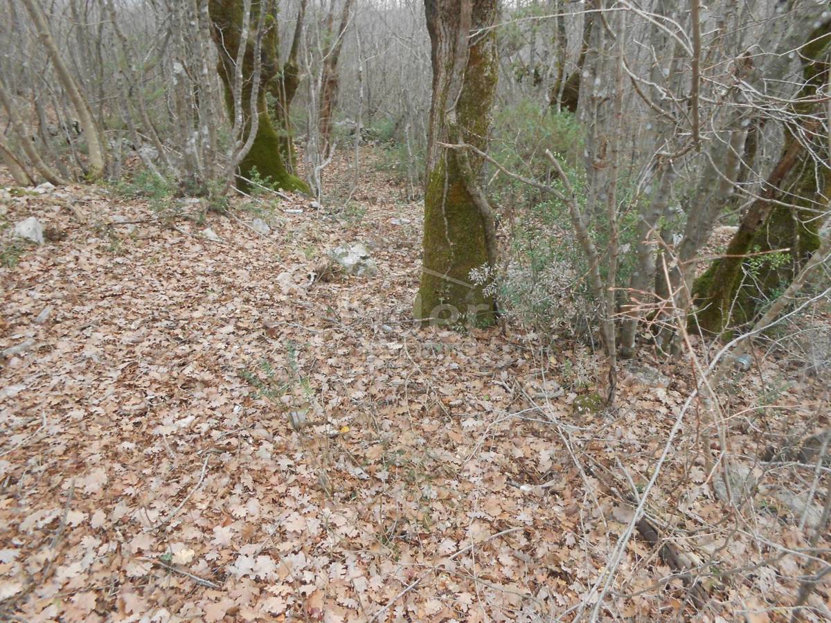 SUŽAN (ISOLA DI VEGLIA) Terreno agricolo, 2841 m2