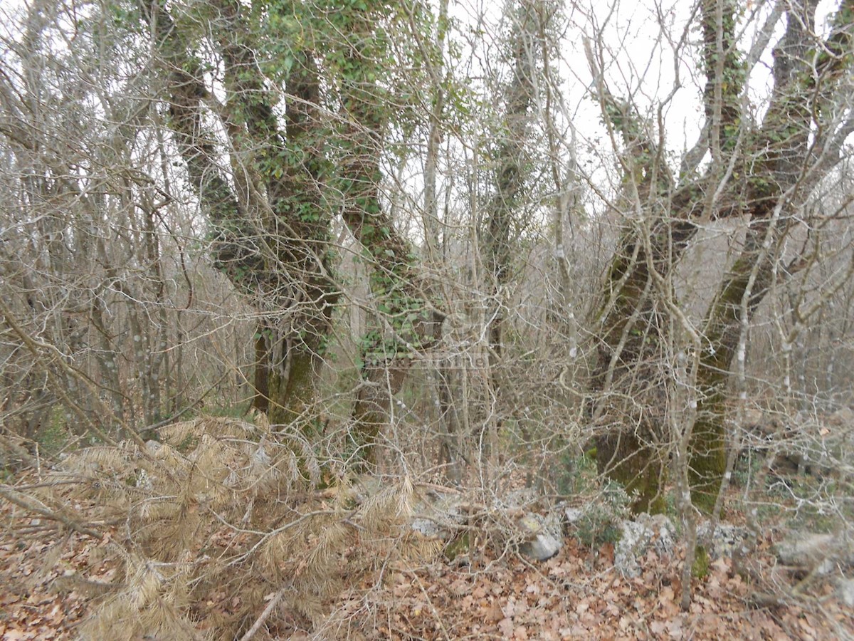 SUŽAN (ISOLA DI VEGLIA) Terreno agricolo, 2841 m2