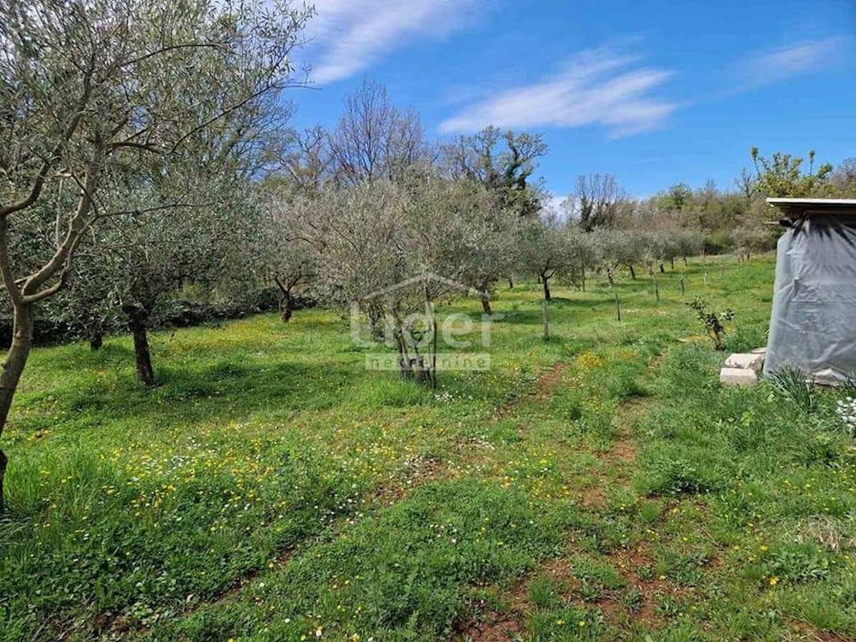 Casa Kolumbera, Višnjan, 24m2