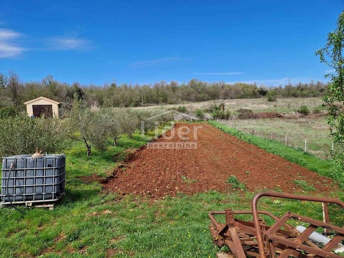 Casa Kolumbera, Višnjan, 24m2