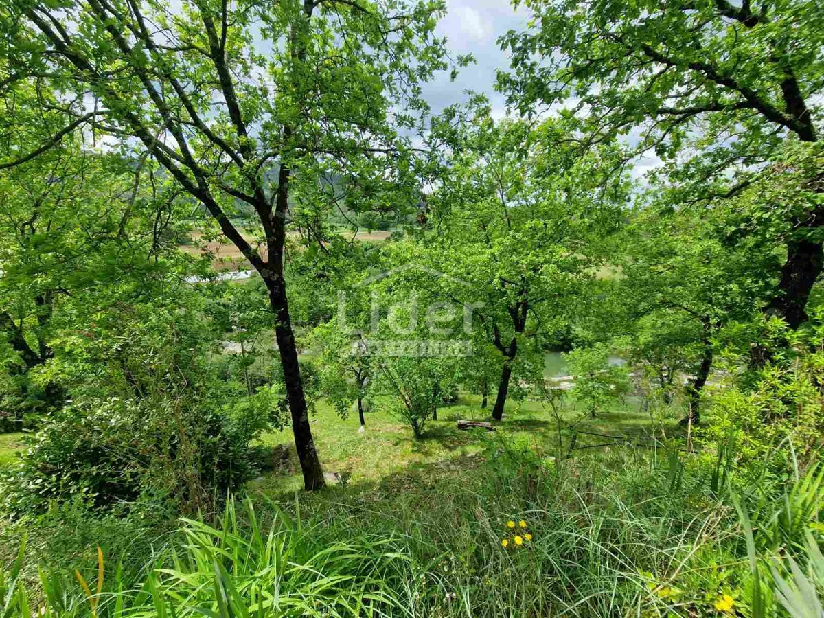 Casa Zarečje, Pazin - Okolica, 196m2