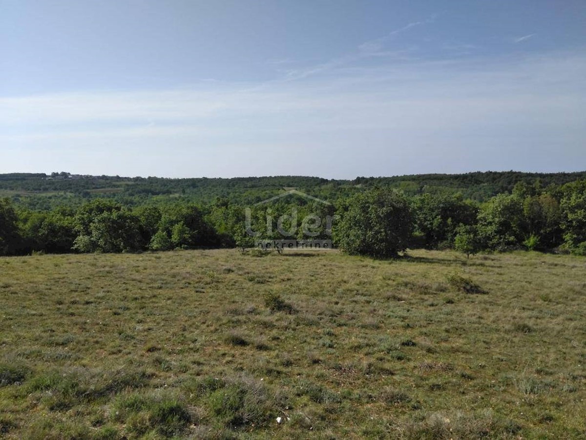 Terreno Zoričići, Višnjan, 19.190m2