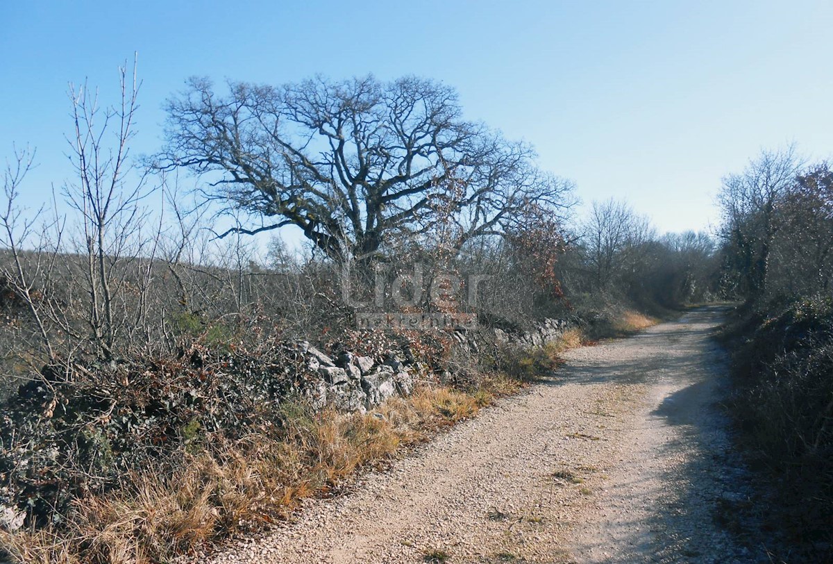 Terreno Kanfanar, 36.757m2