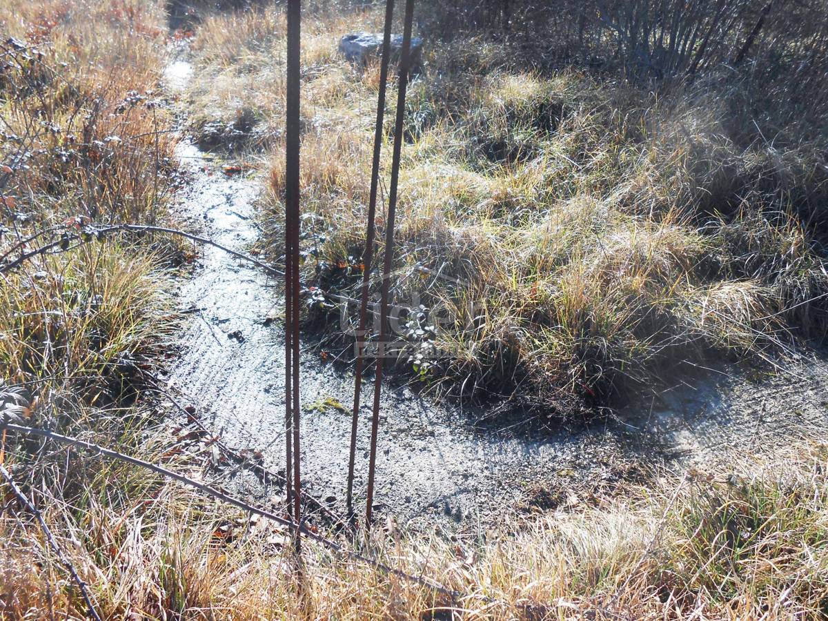 Terreno Kanfanar, 36.757m2