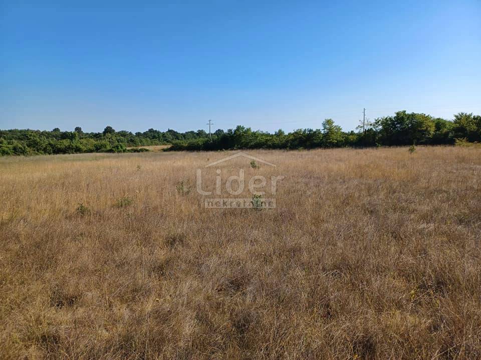Terreno Cukrići, Svetvinčenat, 12.900m2