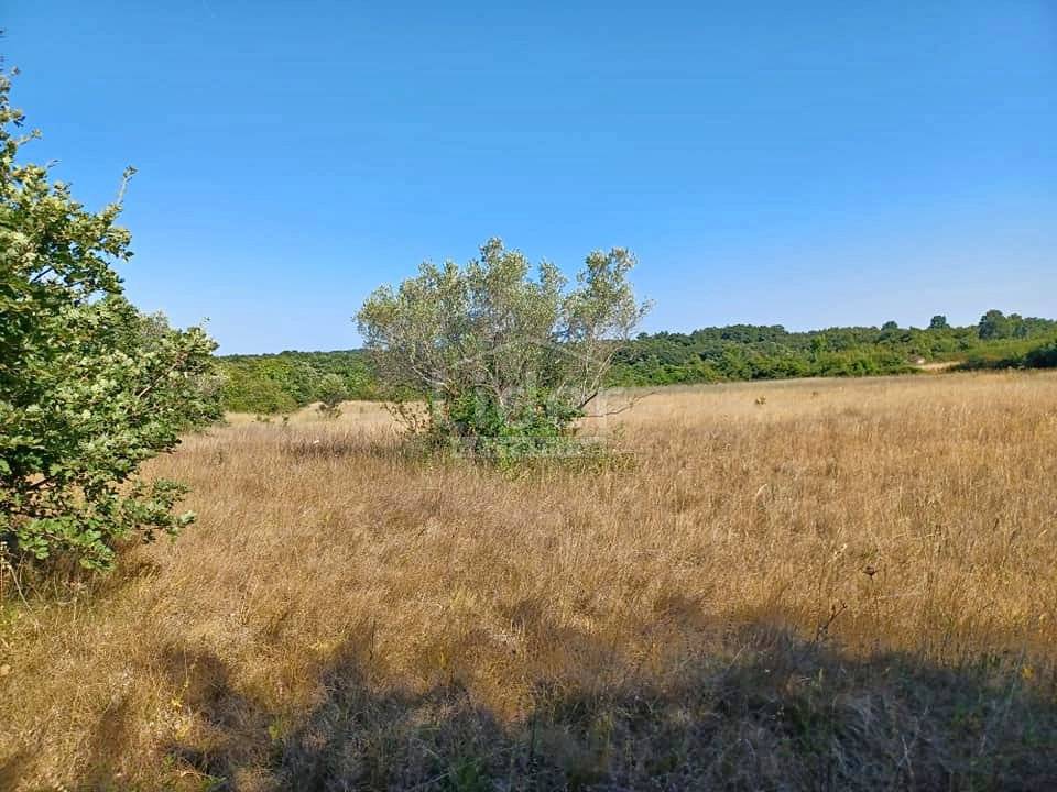 Terreno Cukrići, Svetvinčenat, 12.900m2