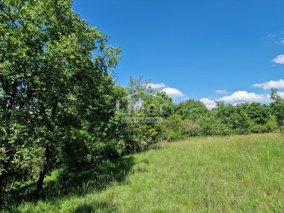 Terreno Stranići kod Lovreča, Sveti Lovreč, 2.760m2