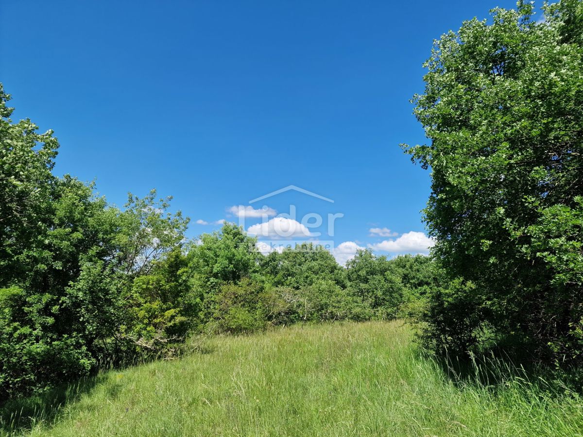 Terreno Stranići kod Lovreča, Sveti Lovreč, 2.760m2