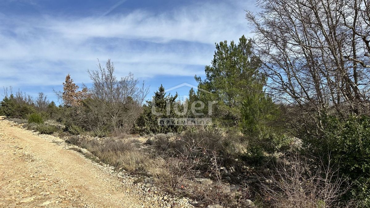 Terreno Pridraga, Novigrad, 1.465m2