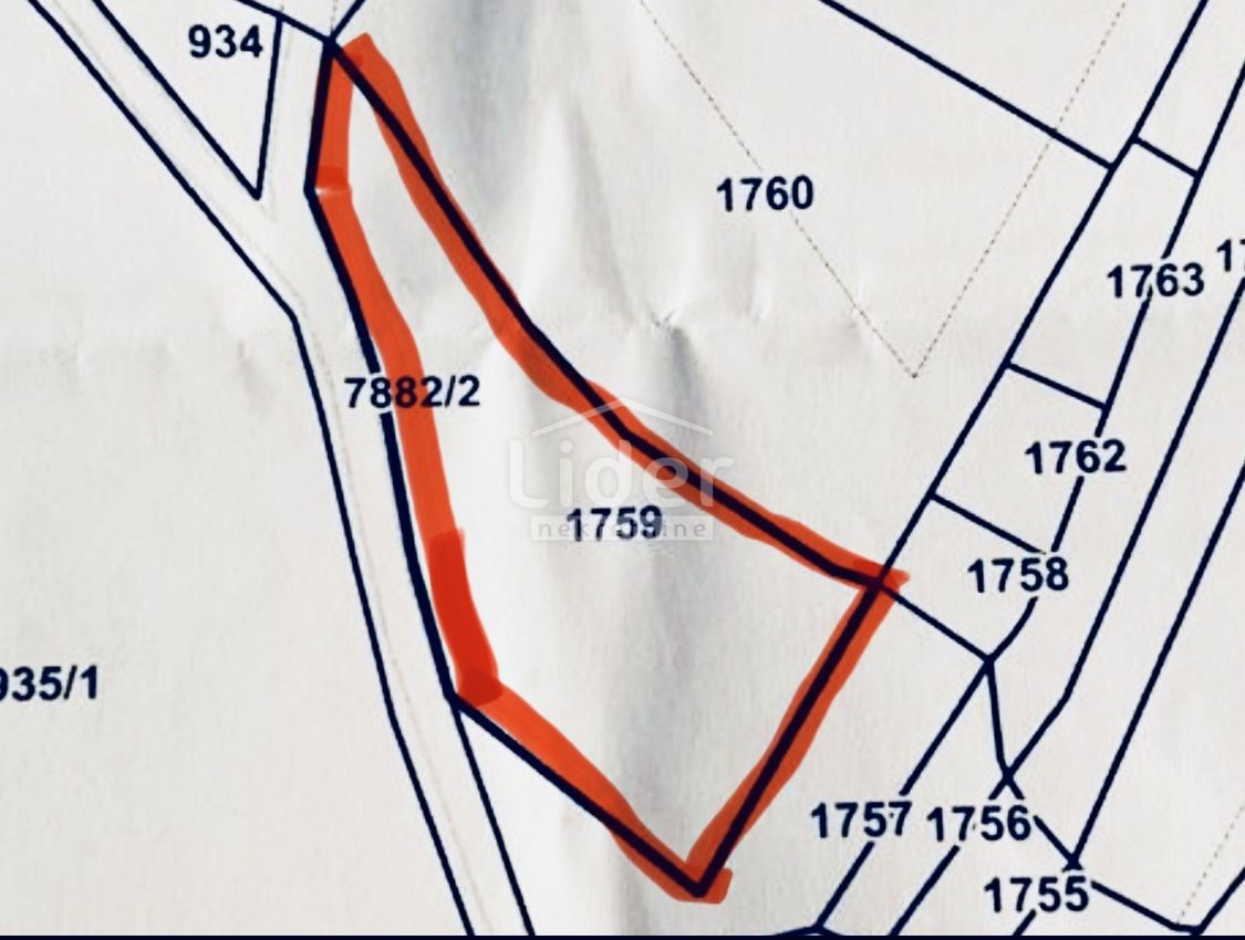 Terreno Pridraga, Novigrad, 1.465m2