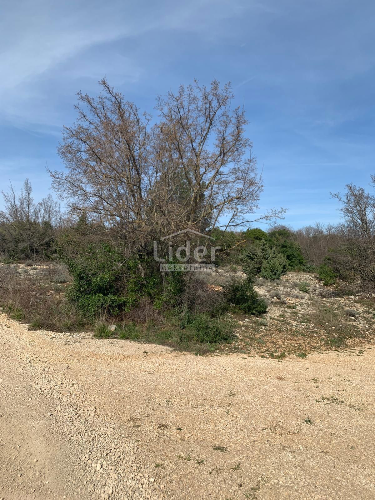 Terreno Pridraga, Novigrad, 1.465m2