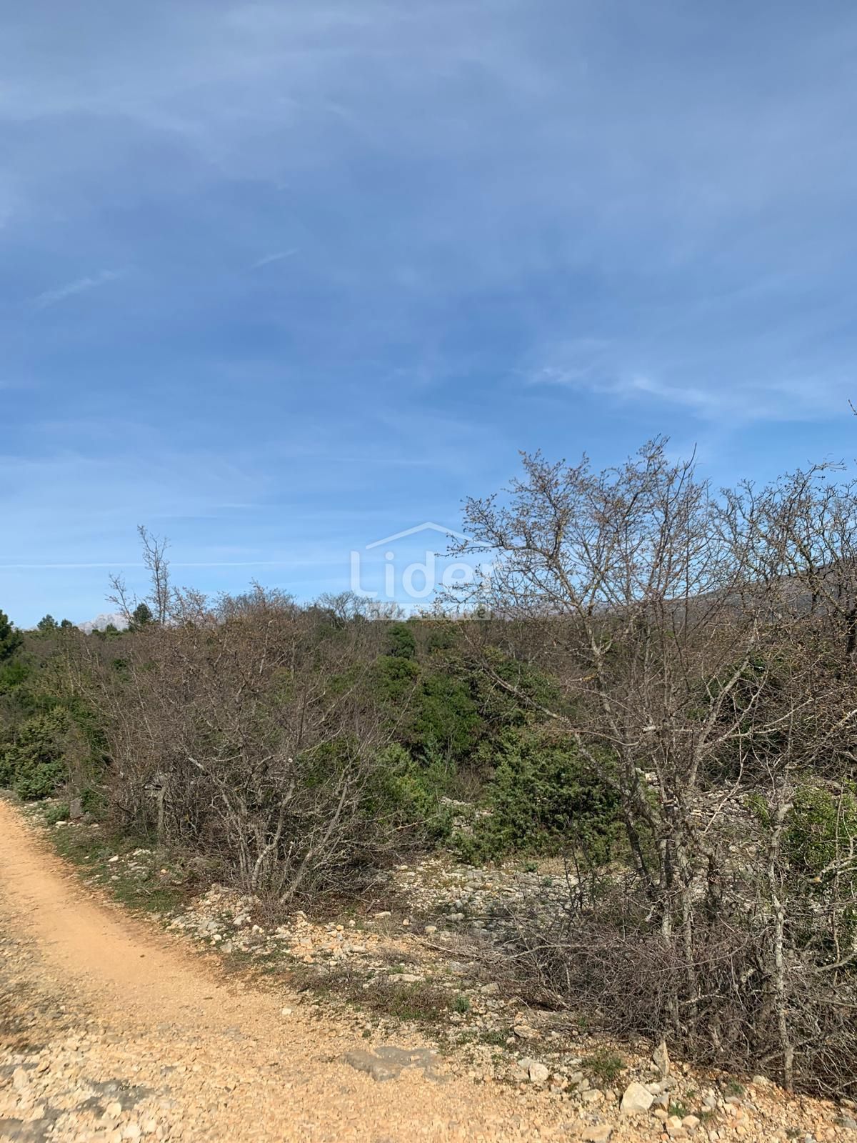 Terreno Pridraga, Novigrad, 1.465m2