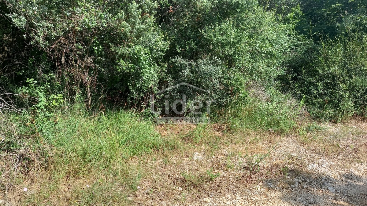 Terreno Rovinj, 12.921m2