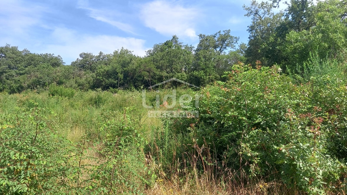 Terreno Rovinj, 12.921m2