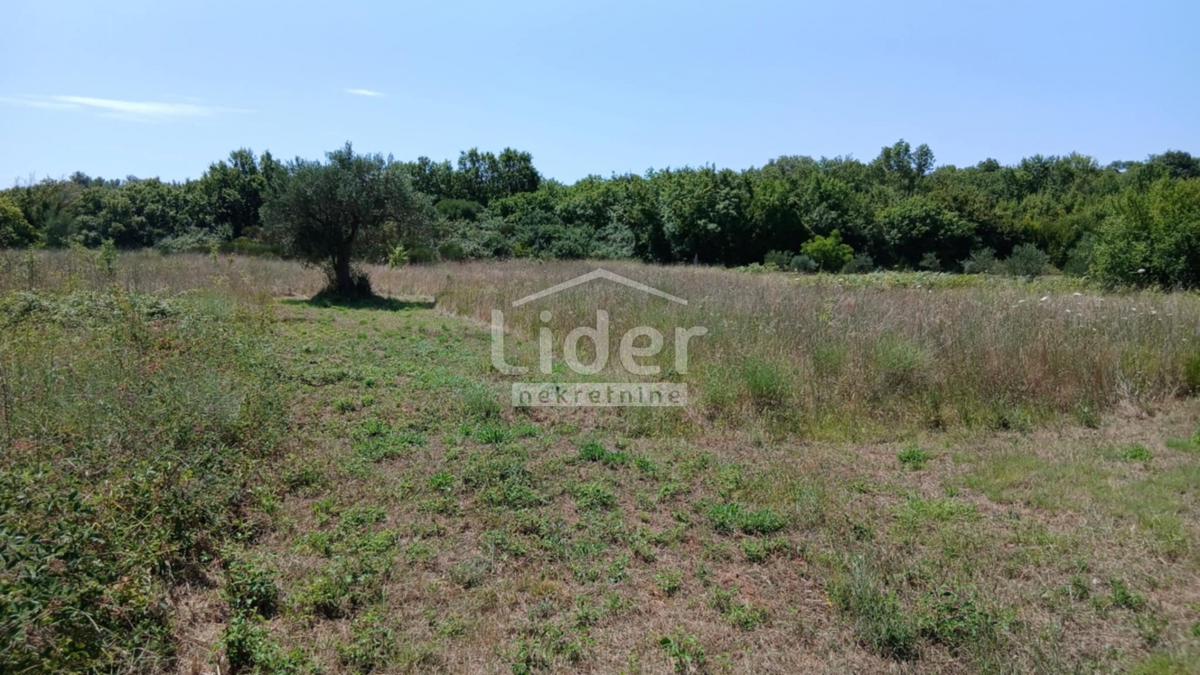 Terreno Rovinj, 12.786m2