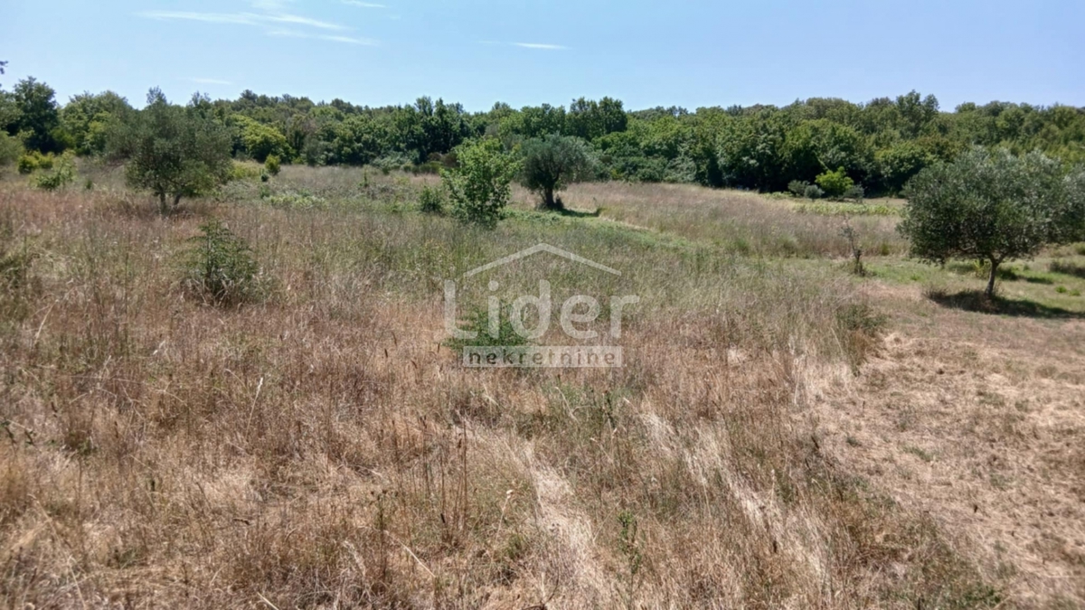 Terreno Rovinj, 12.786m2