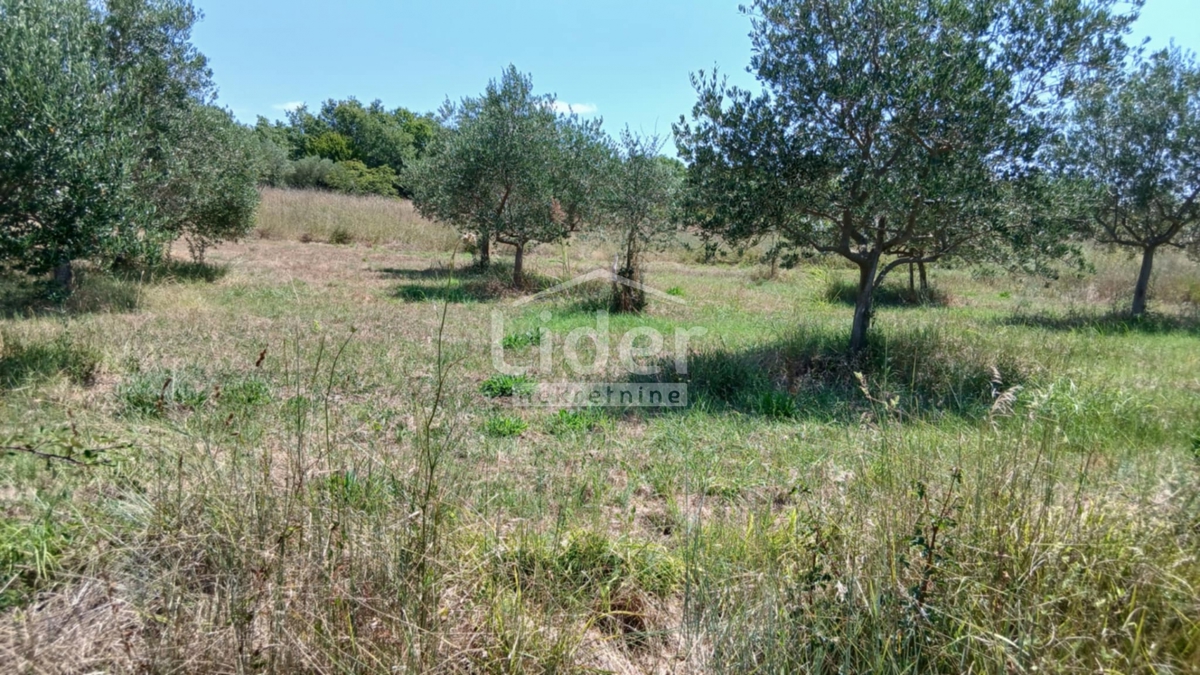 Terreno Rovinj, 12.786m2