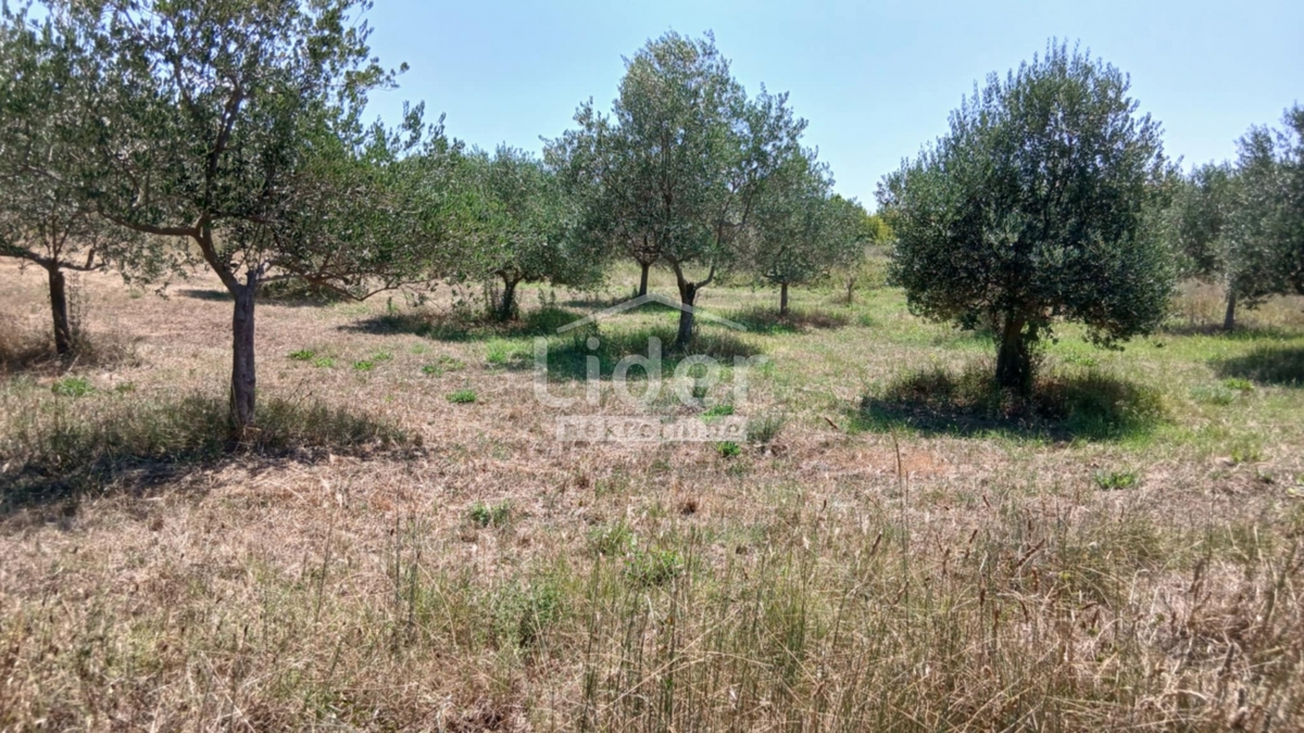 Terreno Rovinj, 12.786m2